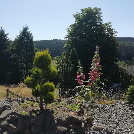 Fewo Koeppe Kopp Esterno foto